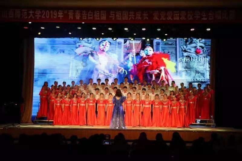 小猫钓鱼正版下载中文版