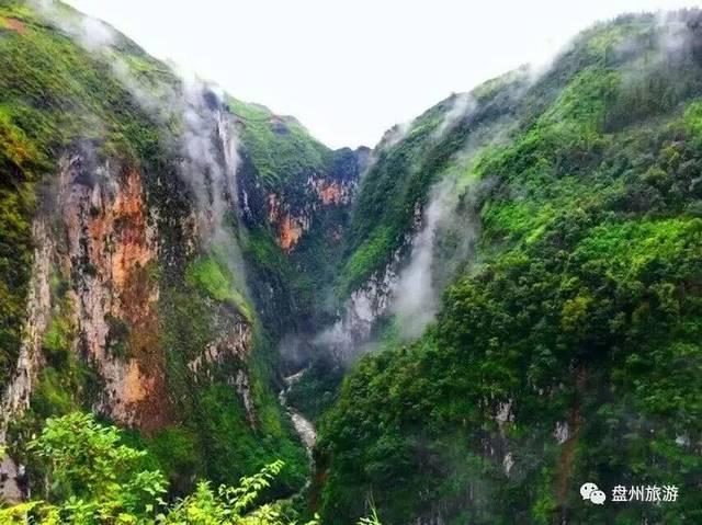 春雨直播app
