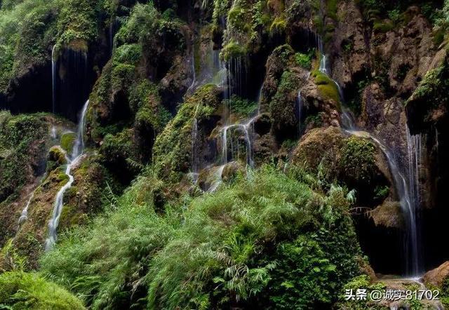 不是亲的就不爱吗,不是亲的孩子就会区别对待吗?-专业问答网站