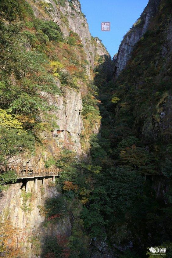 你高考完查成绩是怎样一种感受?-专业问答交流平台
